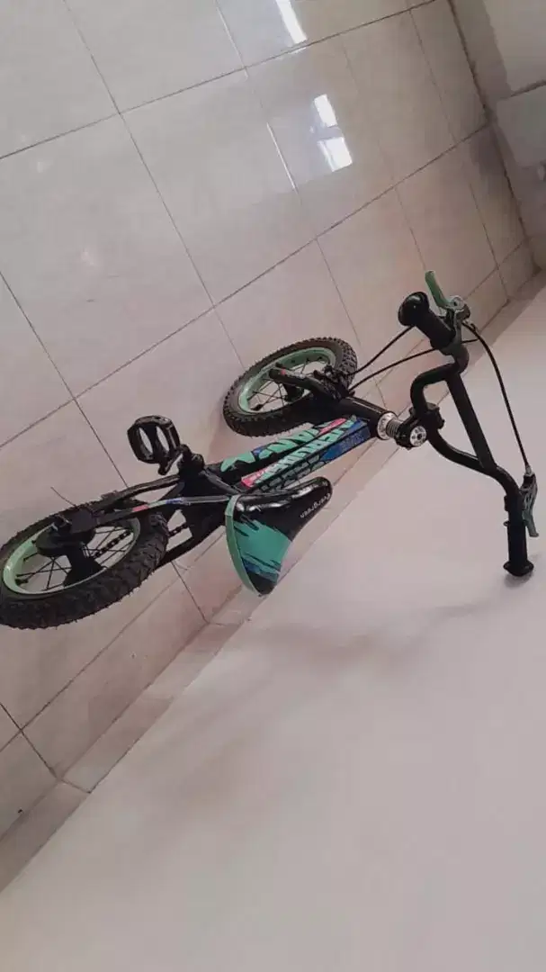 Jual Sepeda BMX anak Type Evergreen