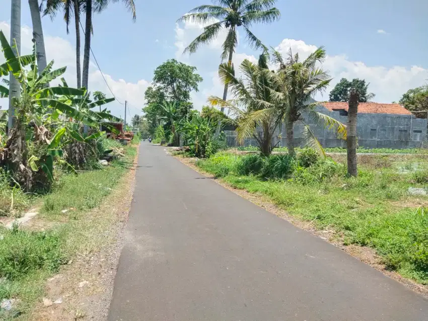 Di jual tanah SHM sawah murah dekat Polsek jangkang Widodomartani