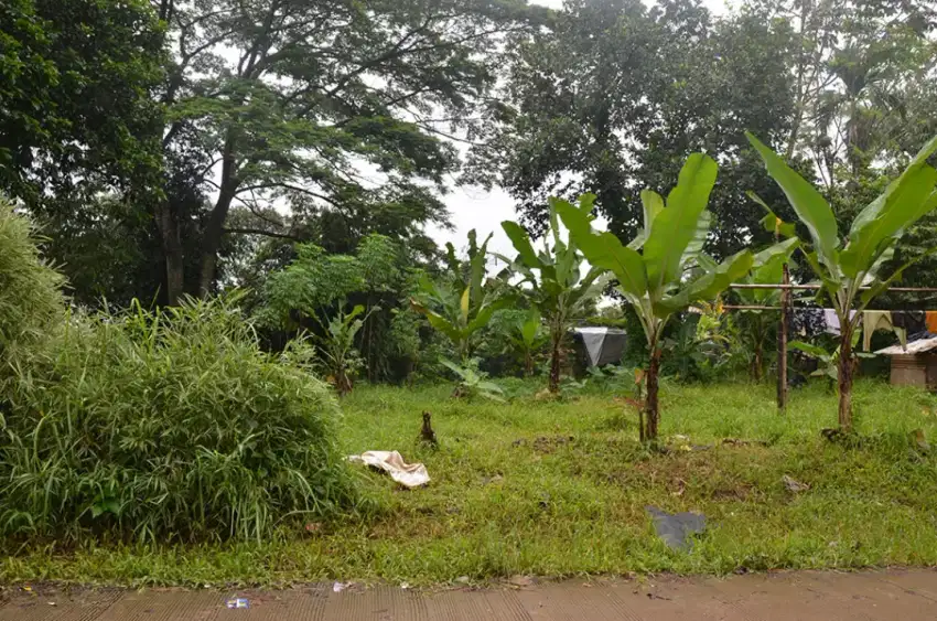 Jual Tanah Kalimulya Depok