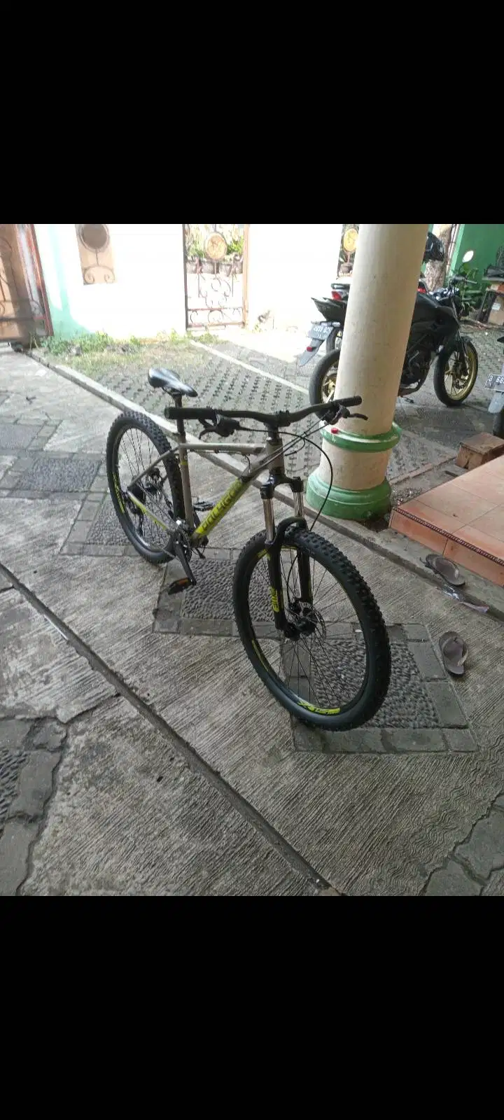 Sepeda Polygon Premier 5