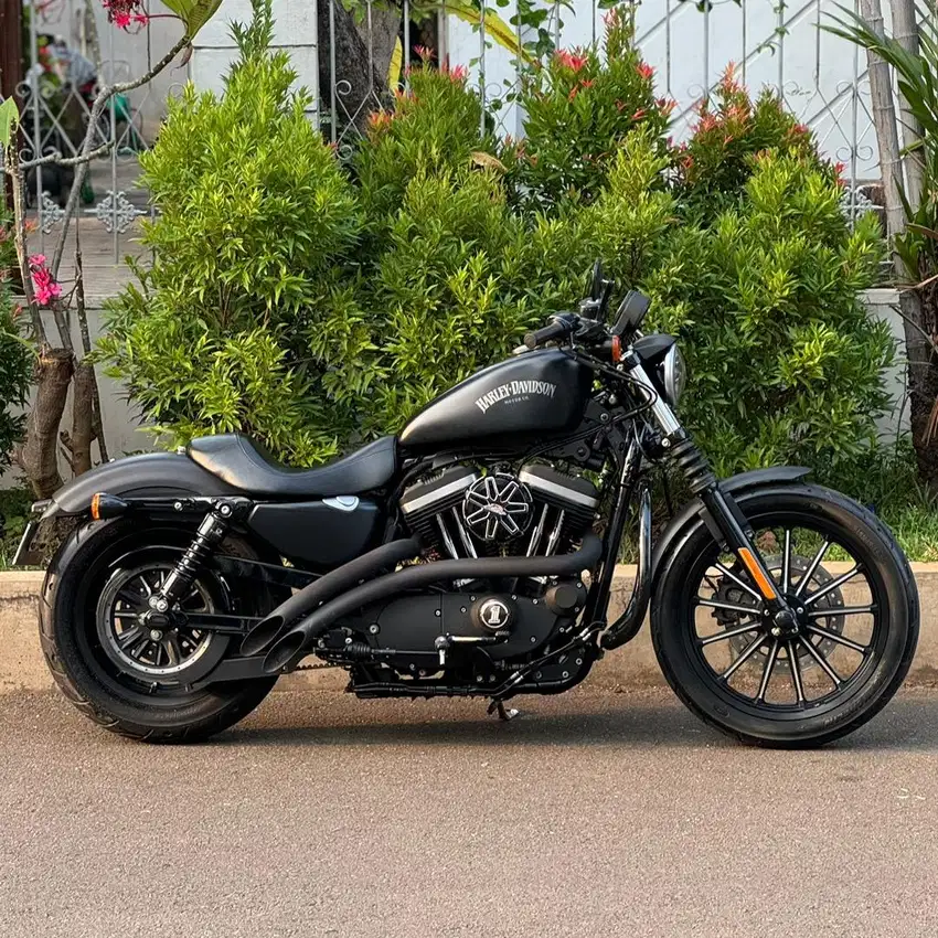 Harley sportster 883 iron 2014 mabua