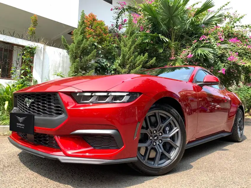 FORD MUSTANG ECOBOOST 2024 RAPID RED ON BLACK