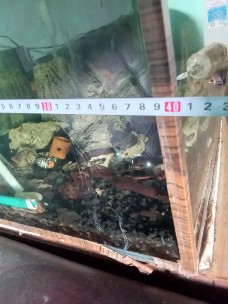 Aquarium besar murah