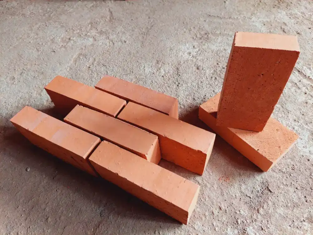 Bata Expose Padat dan Halus  20x10x5 cm