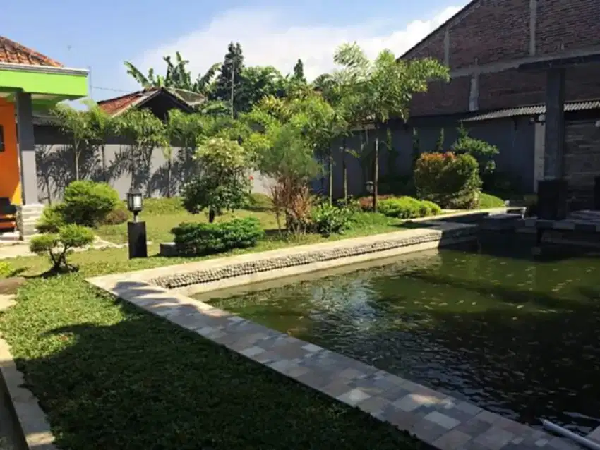 Jasa bikin Taman