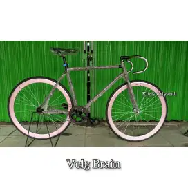 Fixie brain clearance
