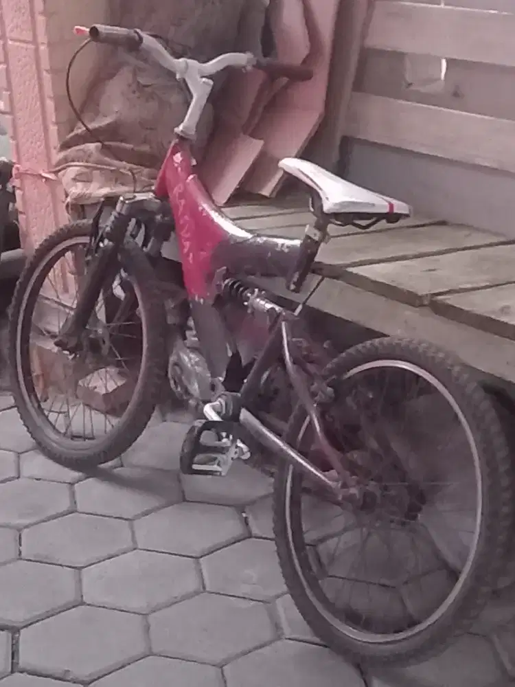 Sepeda ring 20 siap pakai