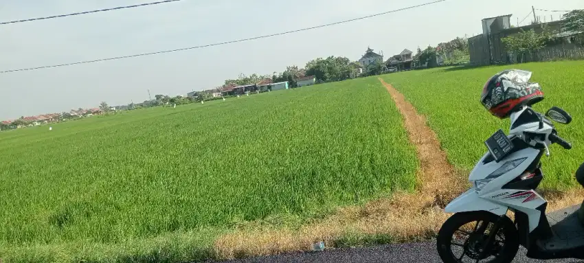 Sawah murah tasikmadu Karanganyar