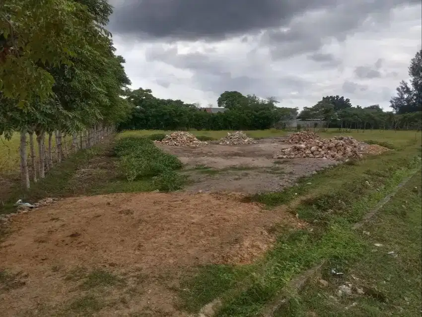 Tanah dekat kampus unsyiah darussalam