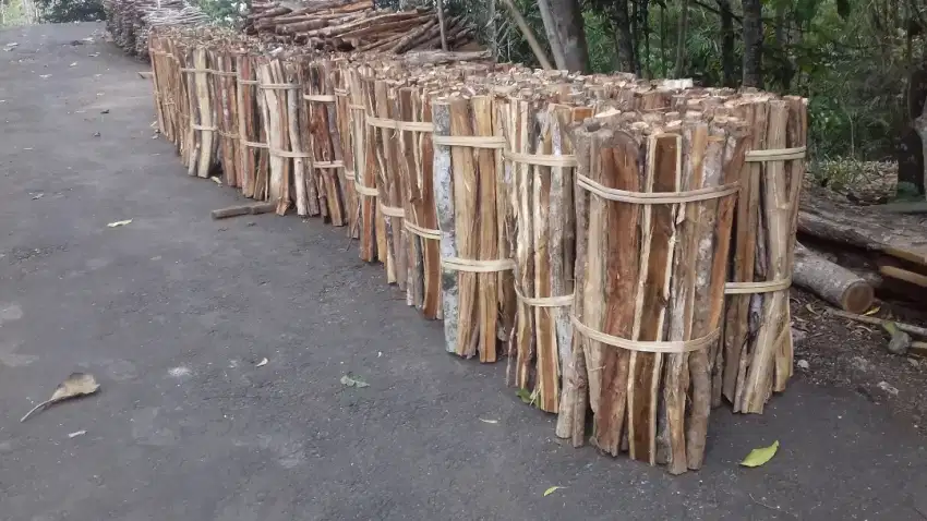 Kayu bakar ikatan