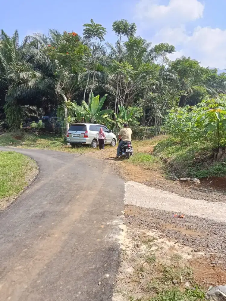 Lokasi Buat ternak Domba& pendovo Di Parakan salak sukabumi