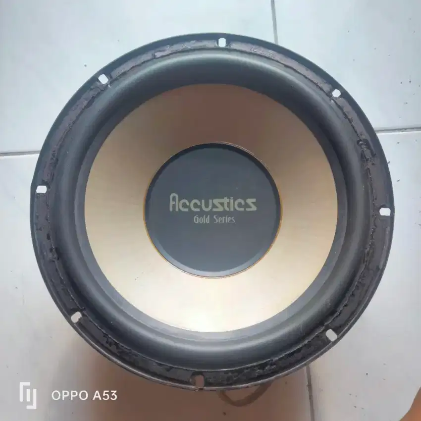 Speaker Acustisc woofer 10 inc