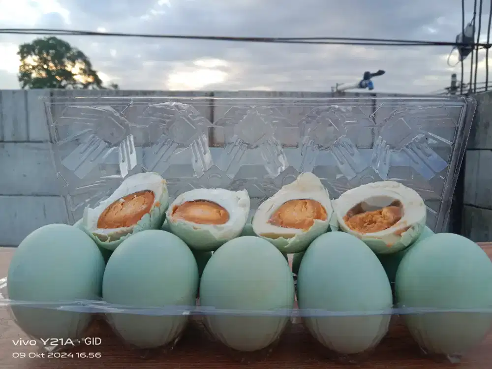 TELUR ASIN MASIR Dan MANIK TELUR ASIN