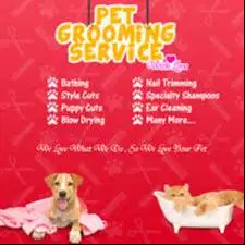 Grooming anjing dan kucing Bandung