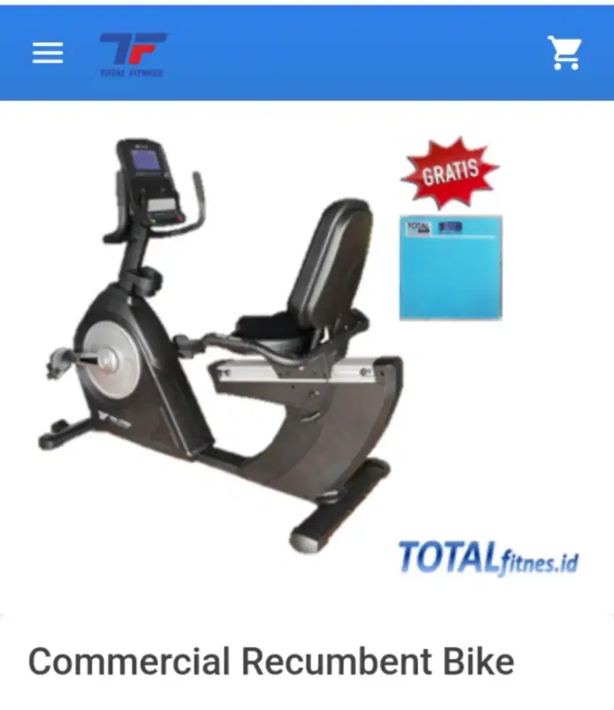 Recumbent BIKE, komersial