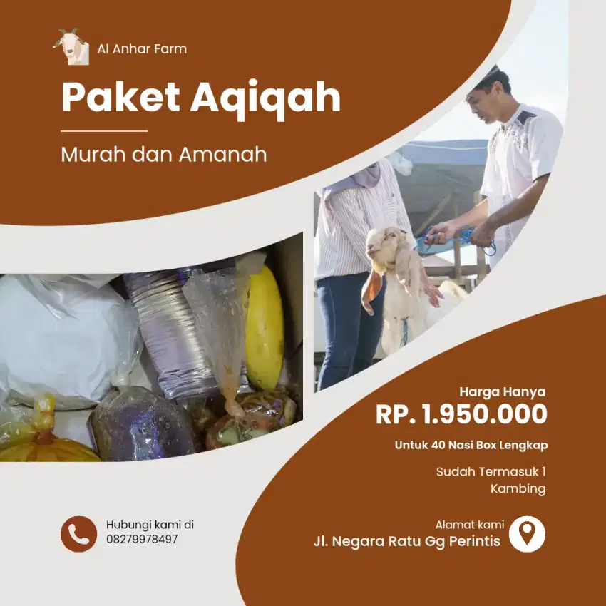 paket hemat kambing aqiqah