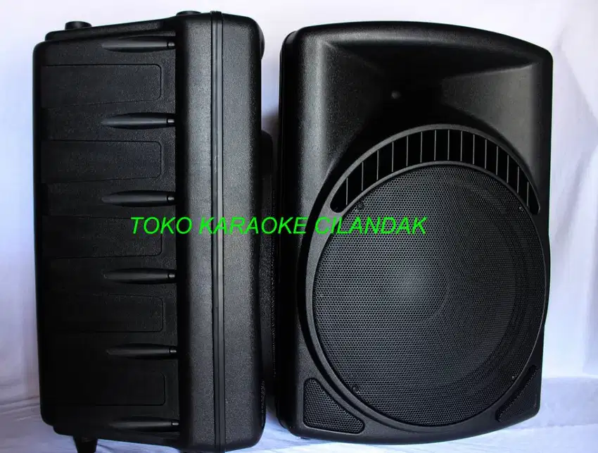 speaker pasif karaoke 15 bagus