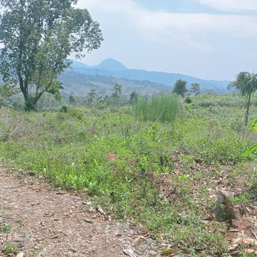 Tanah di Pabuaran Sukamakmur view gunung cocok untuk villa