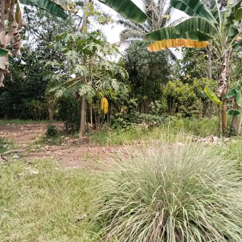 Dijual Lahan Besar dan Strategis di Gunung Sindur