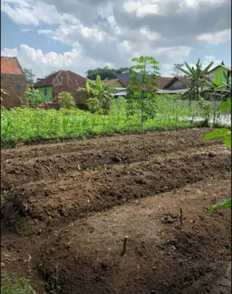 Murah! Tanah 400 Meter Persegi