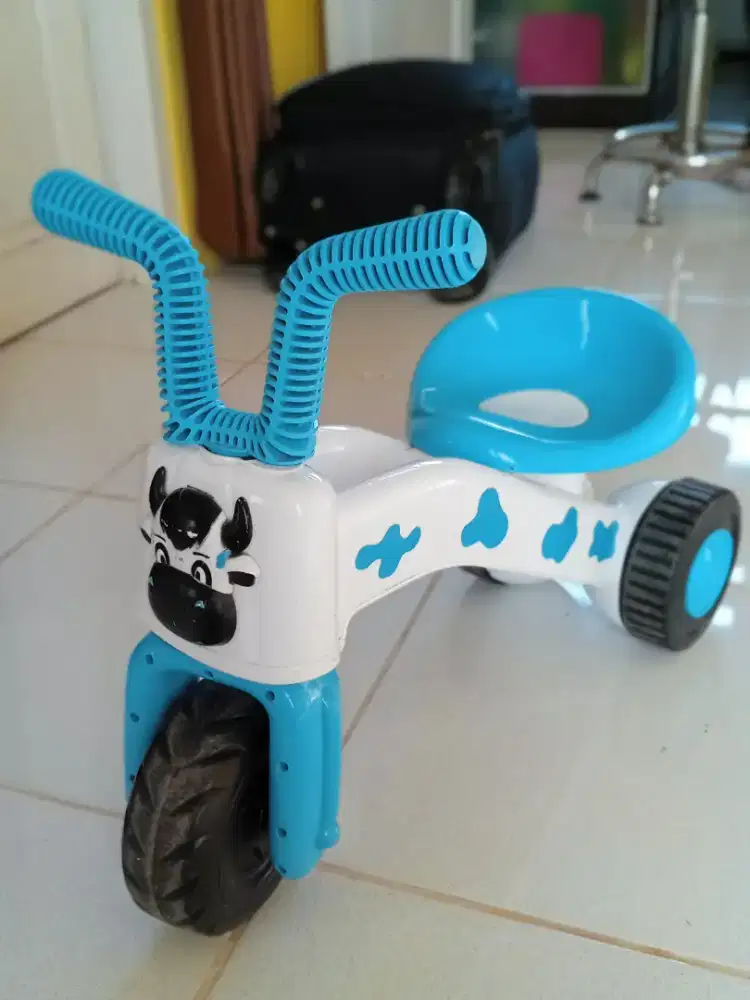 Sepeda anak 3 bulan sampai 12 bulan