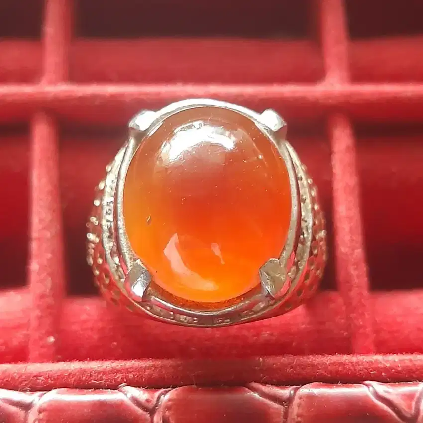 Cincin batu akik Raflesia bengkulu