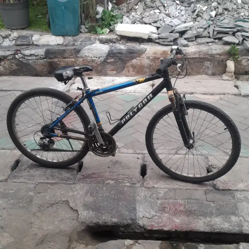 Sepeda mtb Polygon Autech Primier