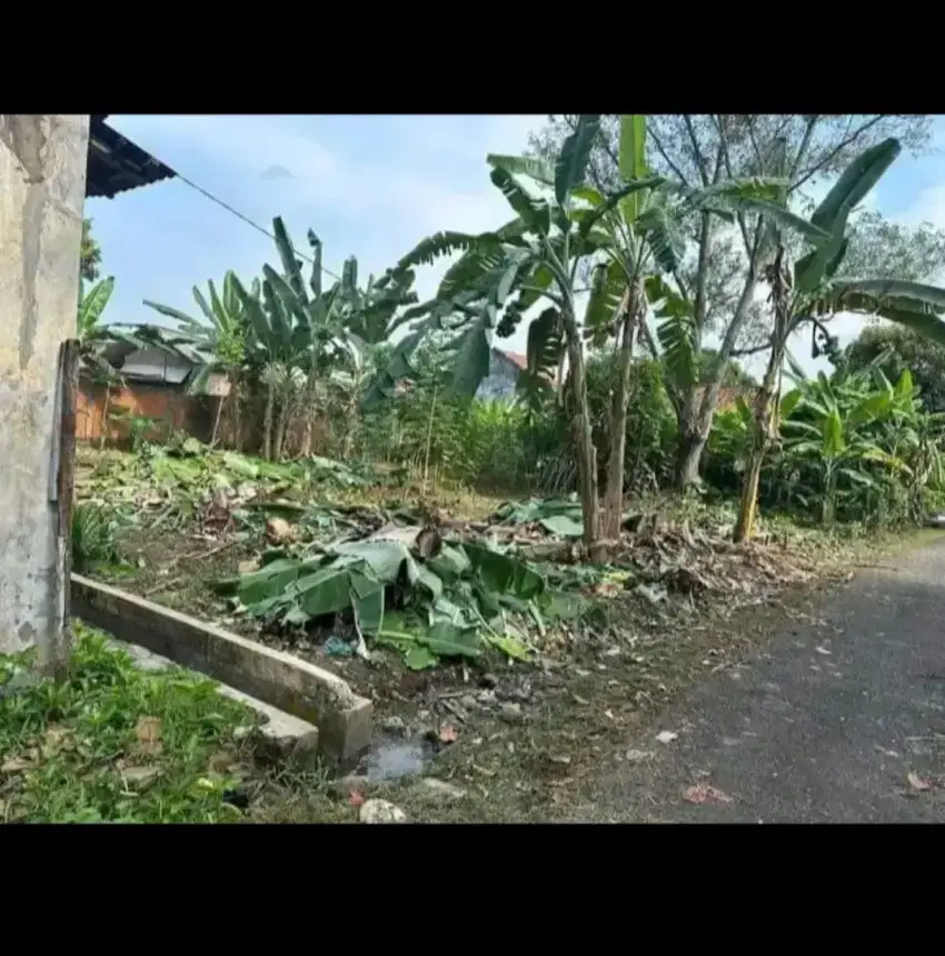 Tanah murah wanabakti 1 dekat pgsd