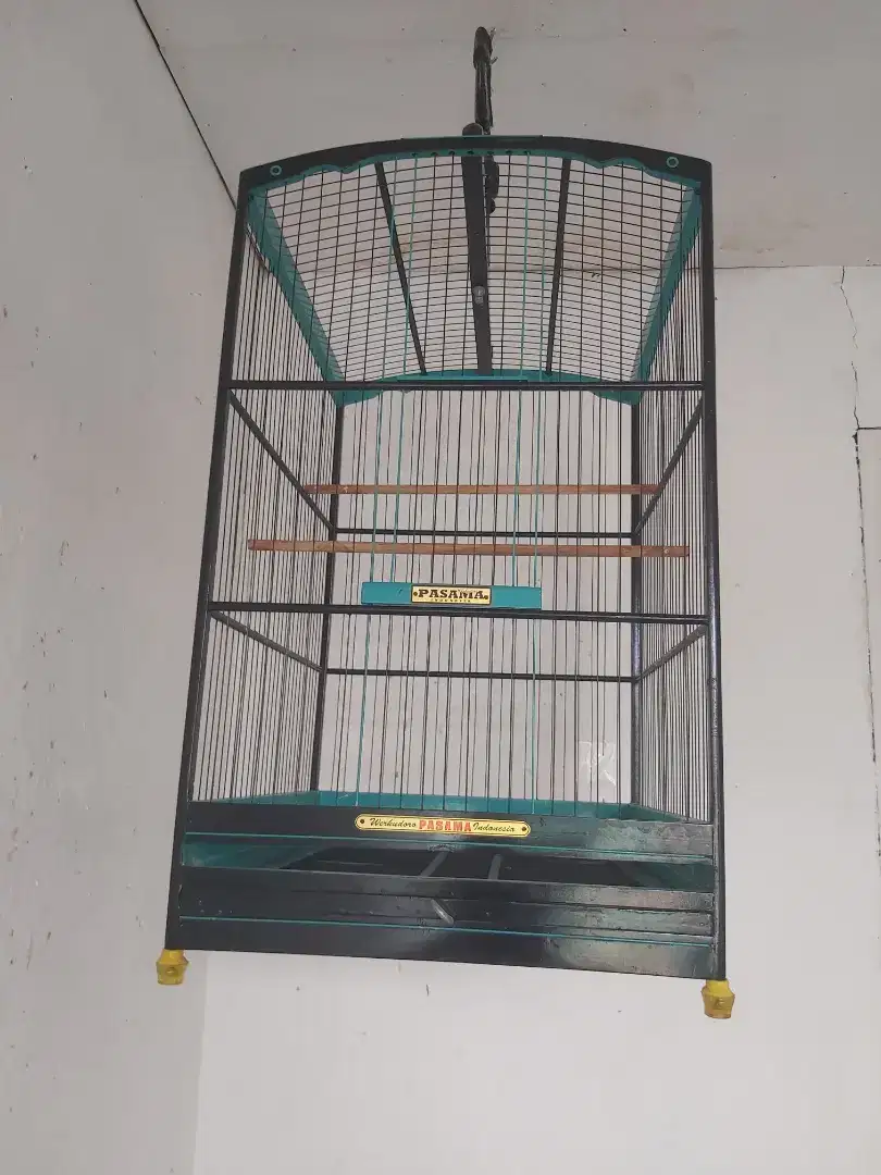 Burung Sangkar panama ukuran  38x45