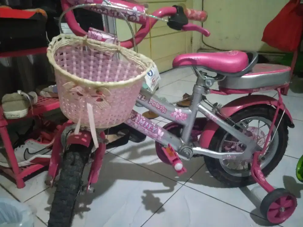 Sepeda anak Perempuan