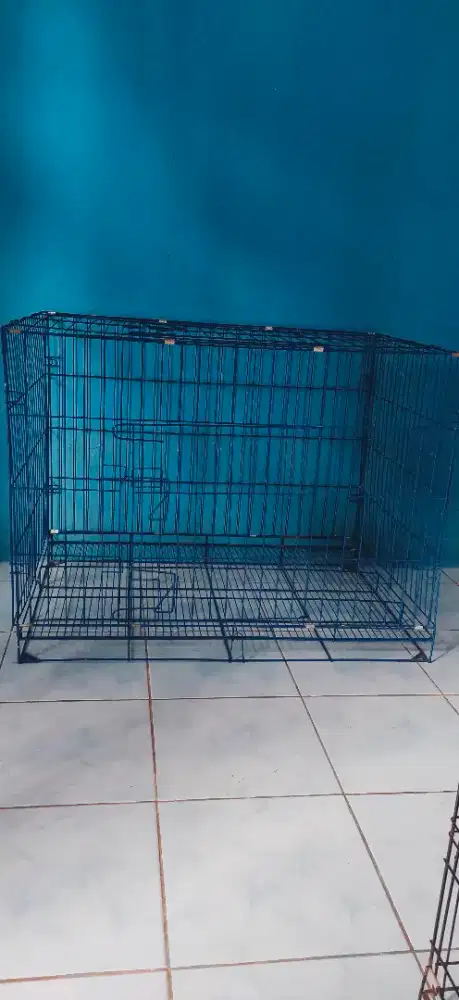 Kandang kucing ukuran besar