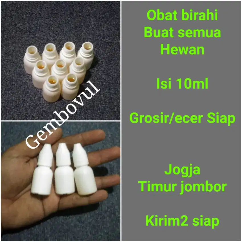 Obat birahi hewan