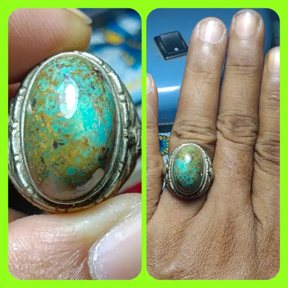 Phirus persia njenong