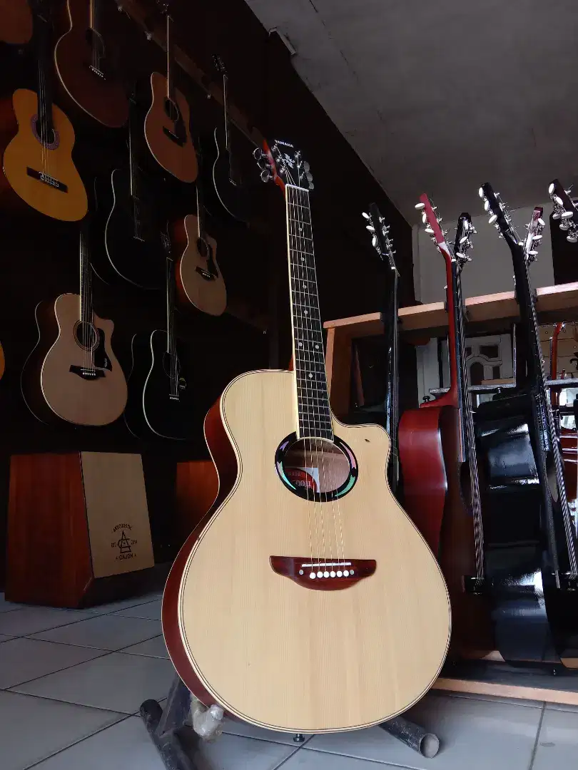 Gitar Akustik Apx 500ii