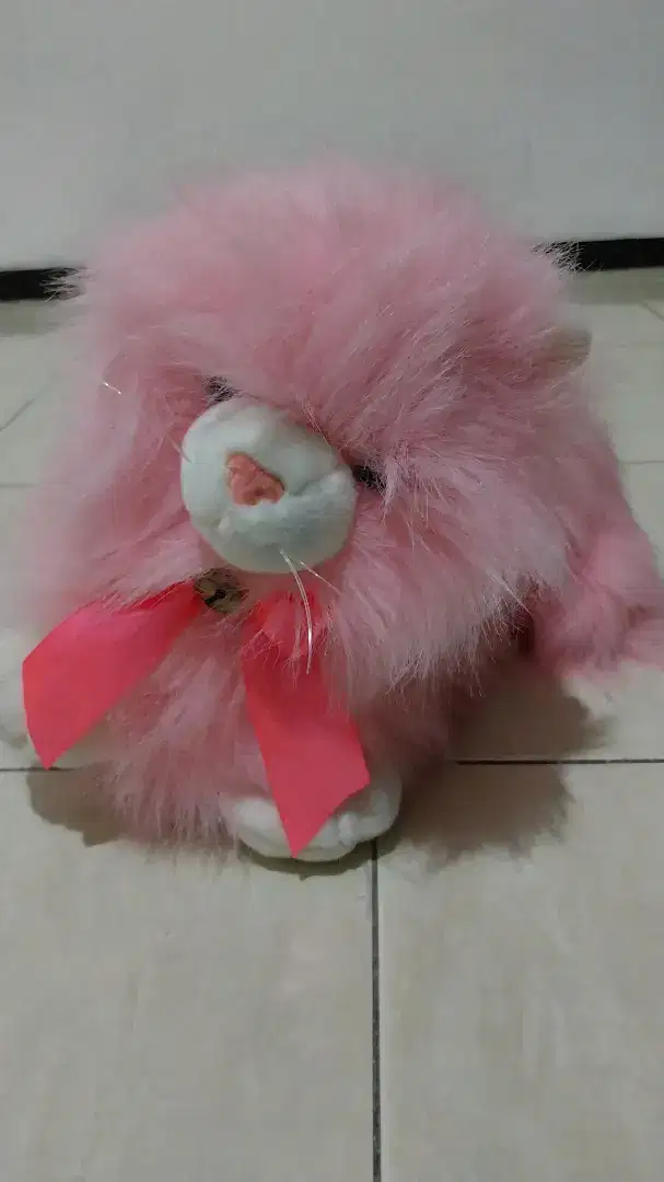 Boneka kucing warna pink