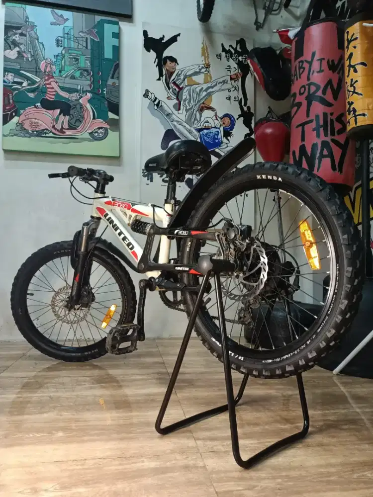 sepeda anak united TMS3080