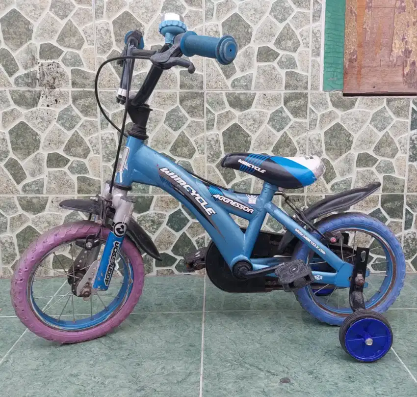 Sepeda Anak WIM CYCLE Ory