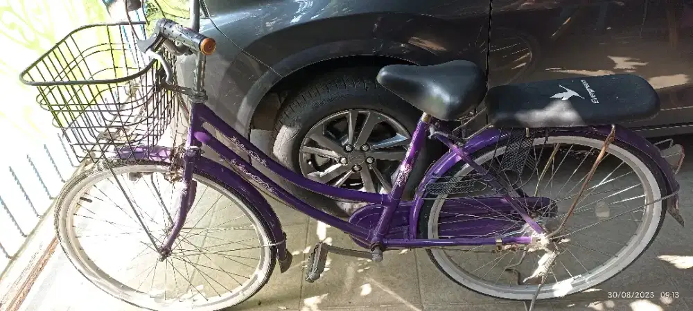 Jual sepeda merk evergreen