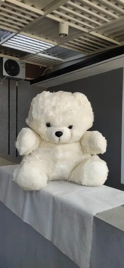 Boneka Teddy Bear 25 inch Made In Thailand - Collectible Bears