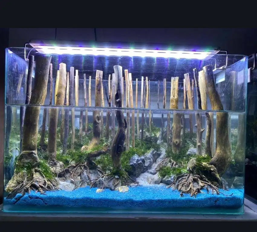 Aquascape Jungle