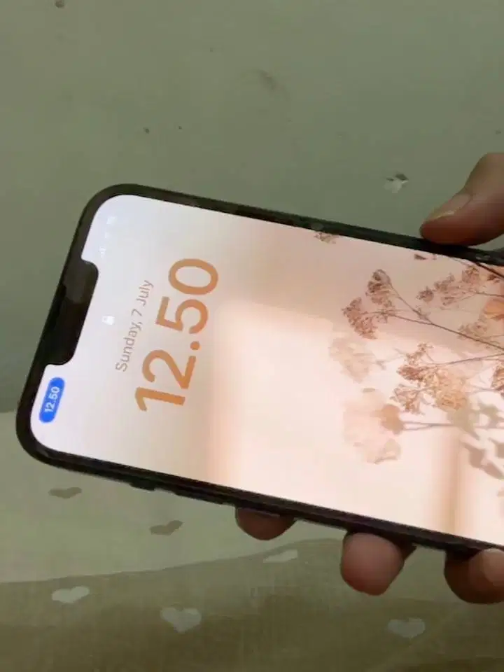 dicri iphone 13 512Gb pro max ibox