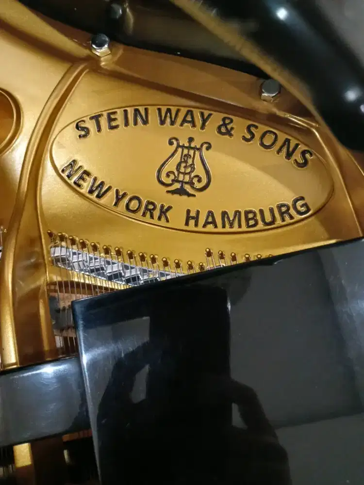 Piano stenway & sons tipe M