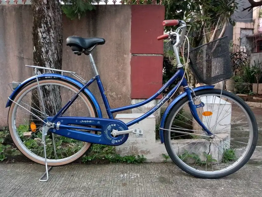 Sepeda Mini Keranjang Ring 26'.