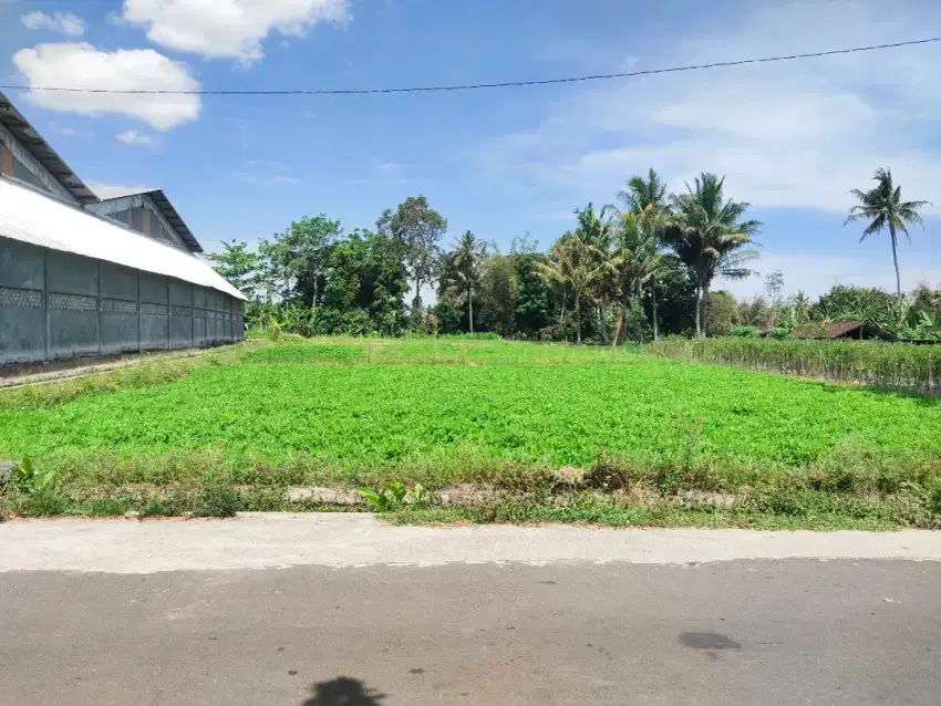 Di jual tanah SHM sawah dekat kampus UII jln Kaliurang km 14