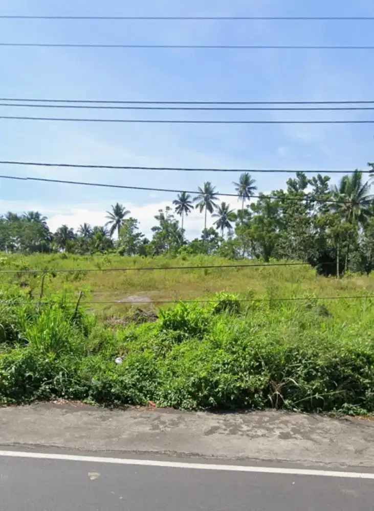 Di Jual Tanah 2,5 Hektar