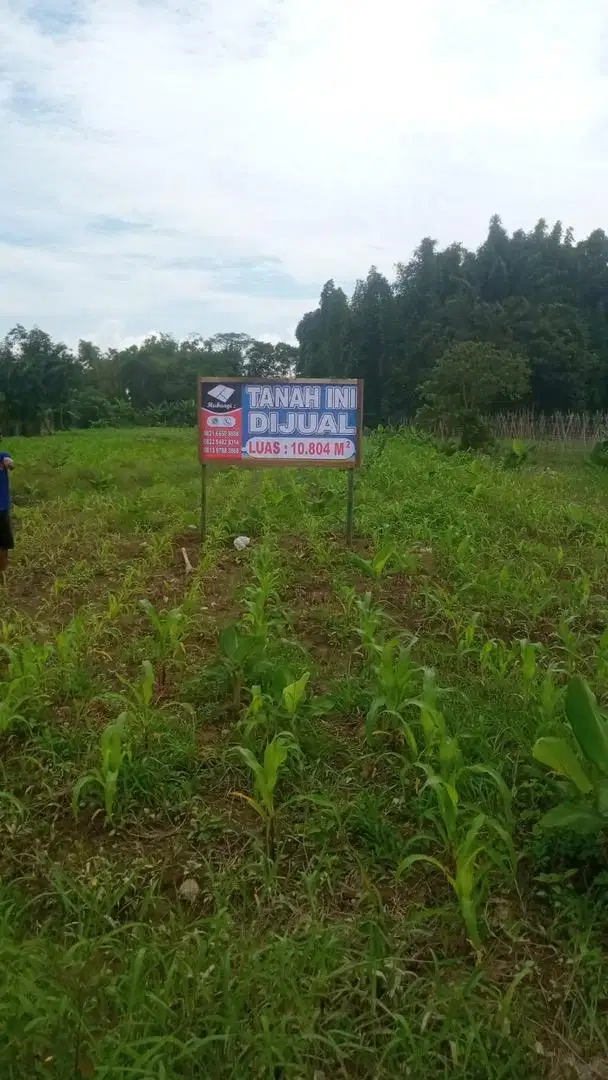 Tanah cantiik lokasi strategis, tidak perlu nimbun, tumpatan nibung