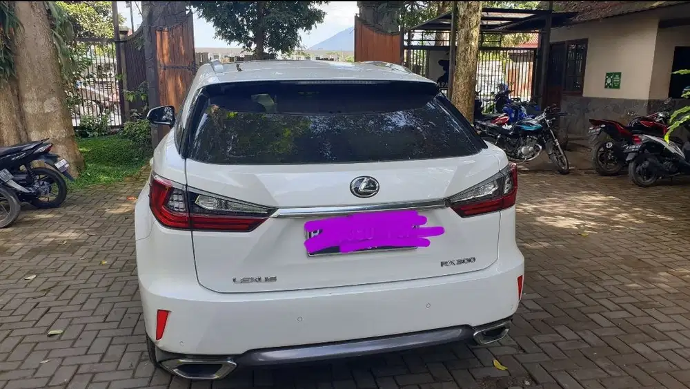 Lexus RX300 2019 Hybrid