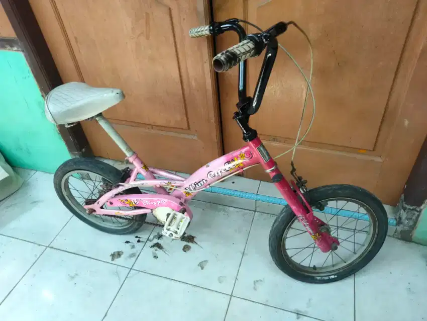 Sepeda anak murah