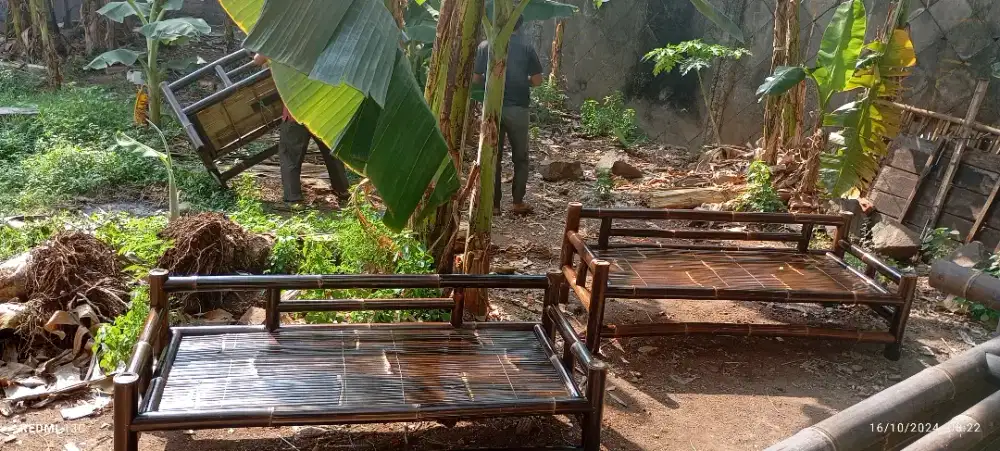 Bale bambu hitam asli