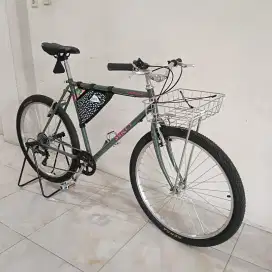 Sepeda federal commuter bike